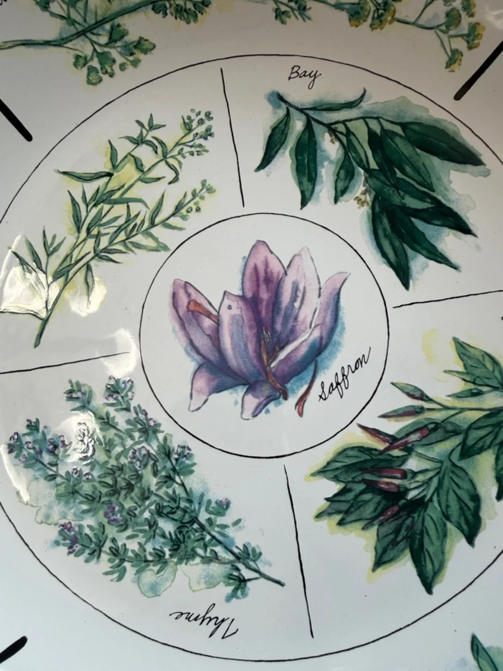 William Sonoma Herb-Illustration Ceramic Serving Plate 12.5”